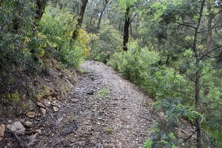 Main view of Homely land listing, Lot 3/7 Happy Go Lucky Road, Walhalla VIC 3825