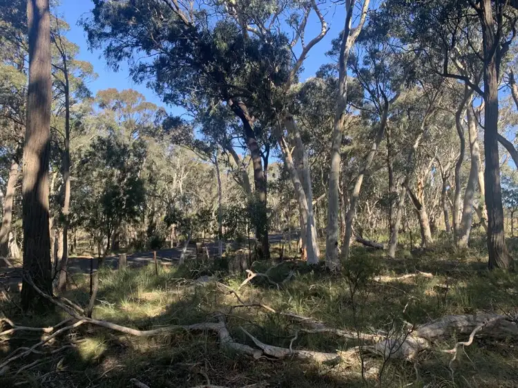 Main view of Homely rural property listing, 809 Aarons Pass Road, Carcalgong, Mudgee NSW 2850