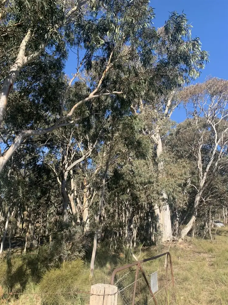 Second view of Homely rural property listing, 809 Aarons Pass Road, Carcalgong, Mudgee NSW 2850