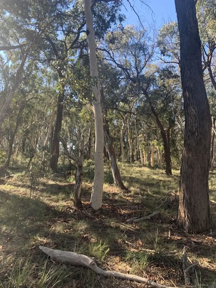 Third view of Homely rural property listing, 809 Aarons Pass Road, Carcalgong, Mudgee NSW 2850