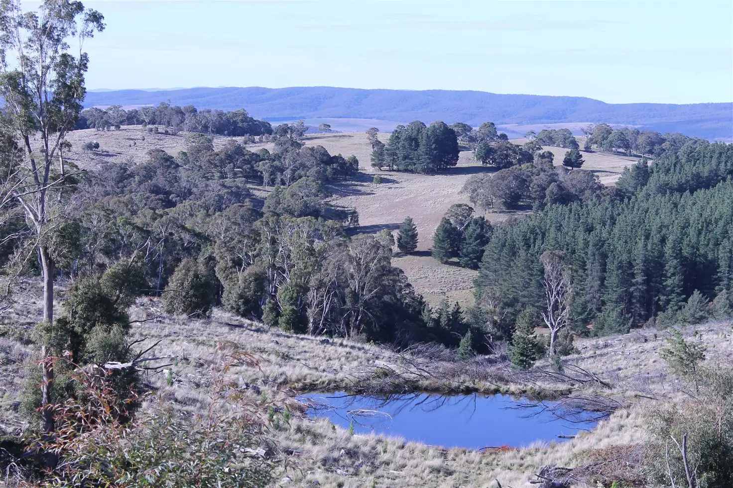 Main view of Homely rural property listing, Lot 38 South Forest Way Kindervale, Braidwood NSW 2622