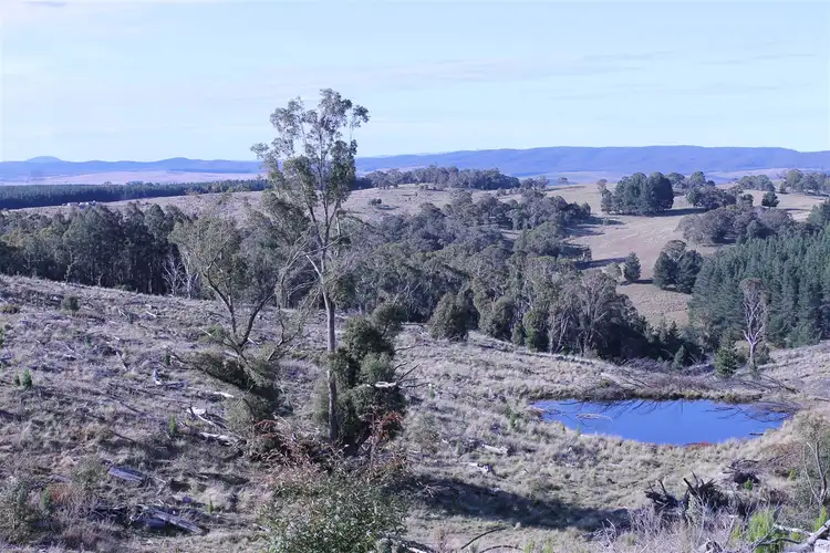 Second view of Homely rural property listing, Lot 38 South Forest Way Kindervale, Braidwood NSW 2622