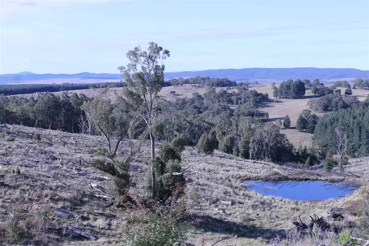 Third view of Homely rural property listing, Lot 38 South Forest Way Kindervale, Braidwood NSW 2622