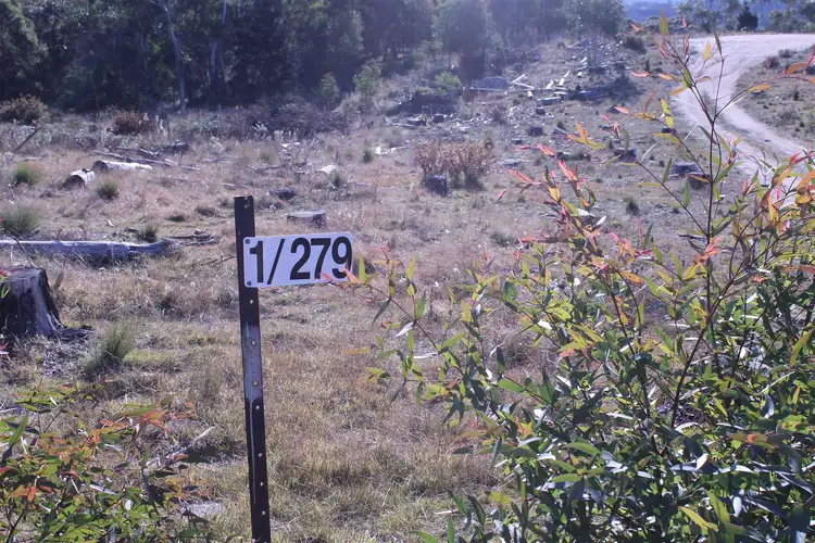 Fifth view of Homely rural property listing, Lot 38 South Forest Way Kindervale, Braidwood NSW 2622
