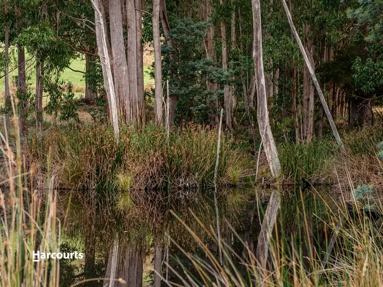 Fourth view of Homely land listing, Lot 1 Glenbervie Road, Dover TAS 7117