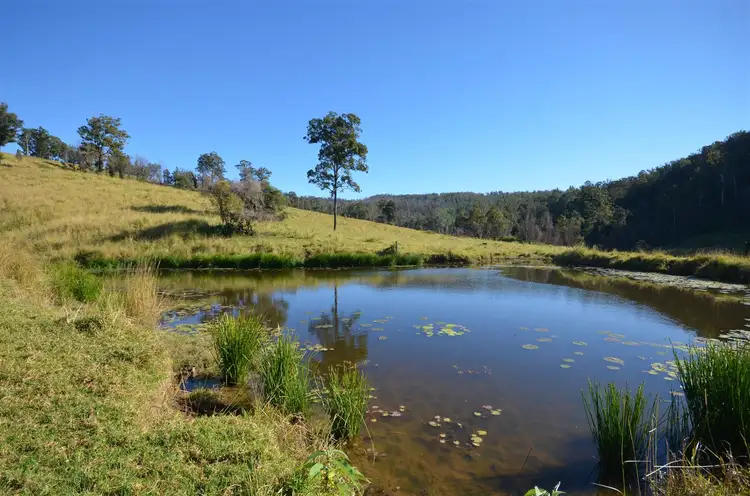 Main view of Homely rural property listing, 1853 Bellangry Road, Bellangry NSW 2446