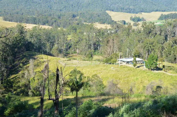 Fifth view of Homely rural property listing, 1853 Bellangry Road, Bellangry NSW 2446