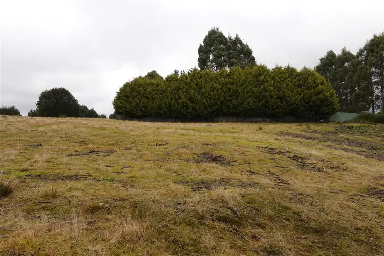 Main view of Homely land listing, 13 Duncanson St, Waratah TAS 7321
