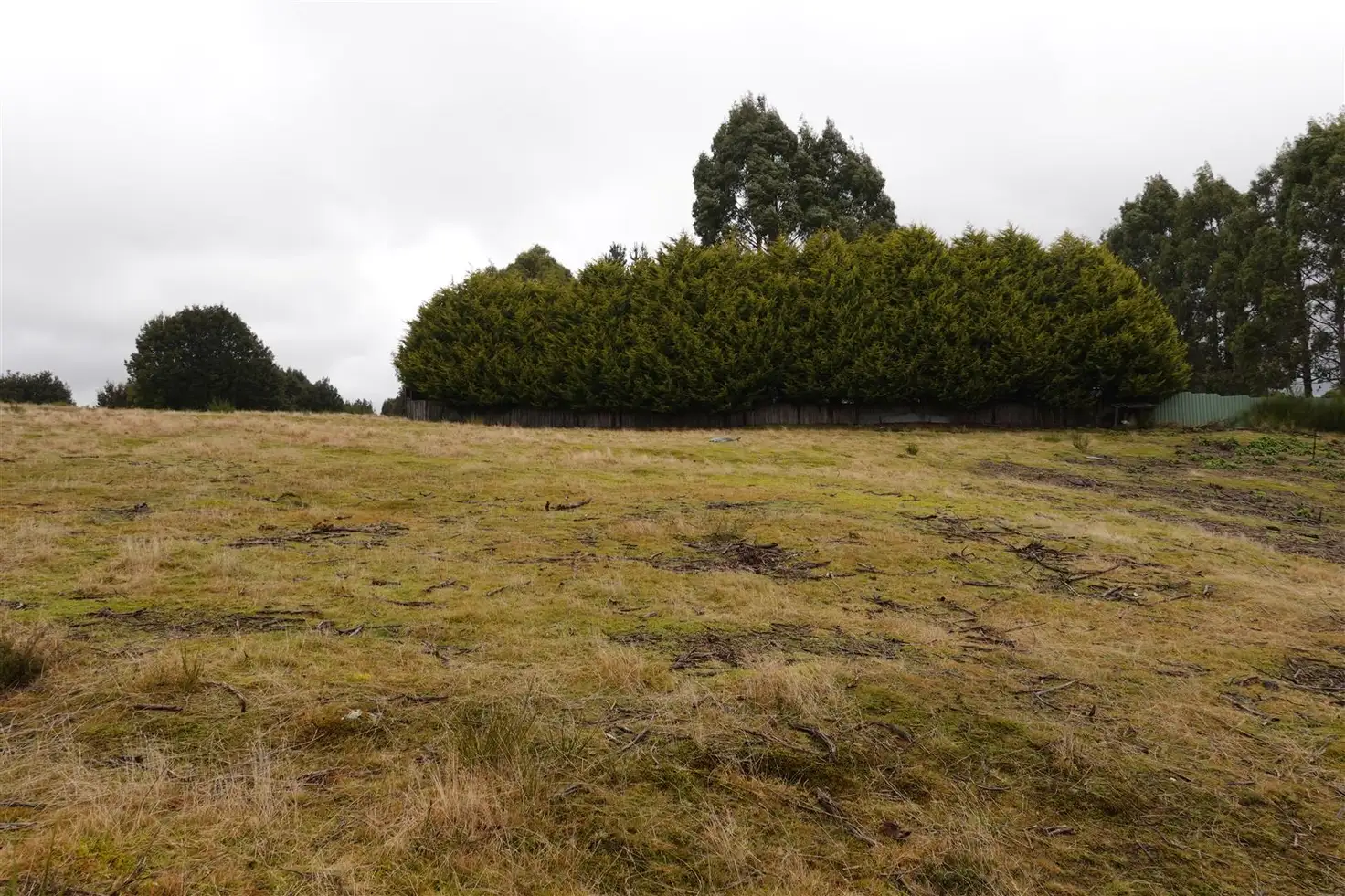 Main view of Homely land listing, 13 Duncanson St, Waratah TAS 7321