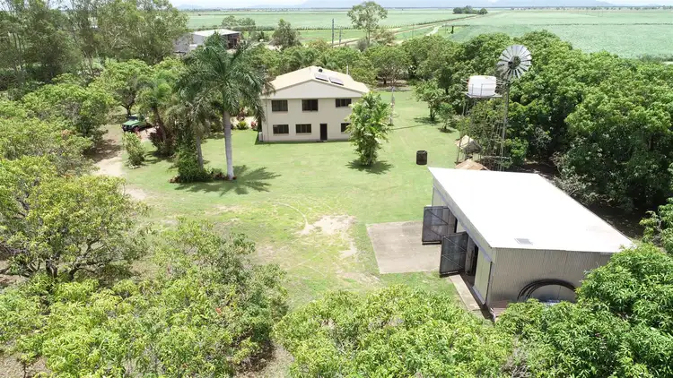 Main view of Homely rural property listing, 270 Drynie Road, Brandon QLD 4808
