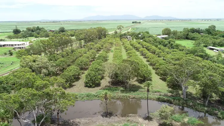 Second view of Homely rural property listing, 270 Drynie Road, Brandon QLD 4808