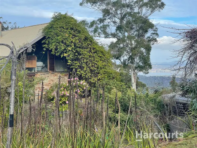 372 Austins Road, Turners Marsh TAS 7267