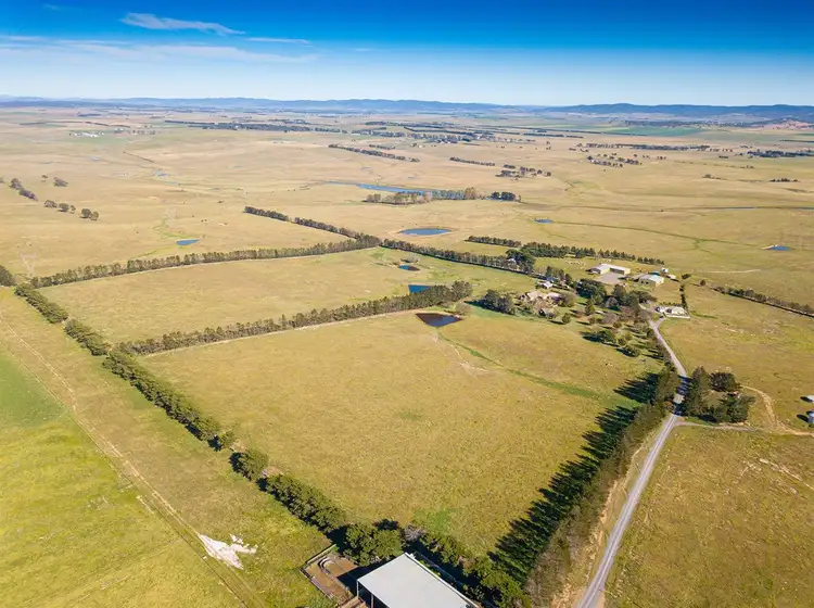 Sixth view of Homely rural property listing, 'Ravenscraig', 602 Mountain Ash Road, Goulburn NSW 2580
