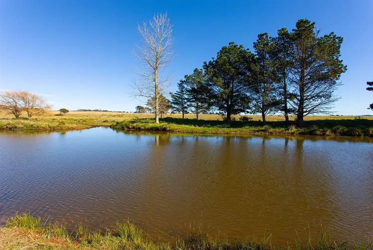 Seventh view of Homely rural property listing, 'Ravenscraig', 602 Mountain Ash Road, Goulburn NSW 2580