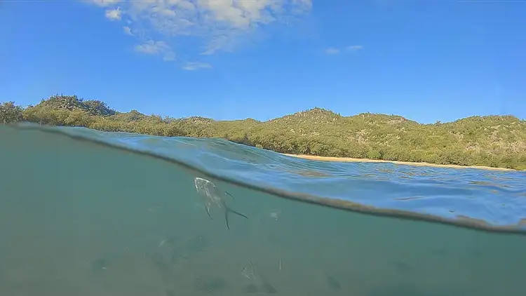 Main view of Homely land listing, 37 Mandalay Street, Nelly Bay QLD 4819