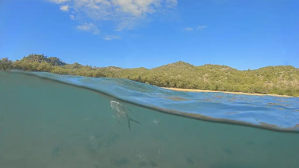 Main view of Homely land listing, 37 Mandalay Street, Nelly Bay QLD 4819