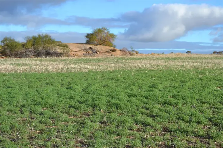 Second view of Homely rural property listing, . 'The Tower Block', Tammin WA 6409