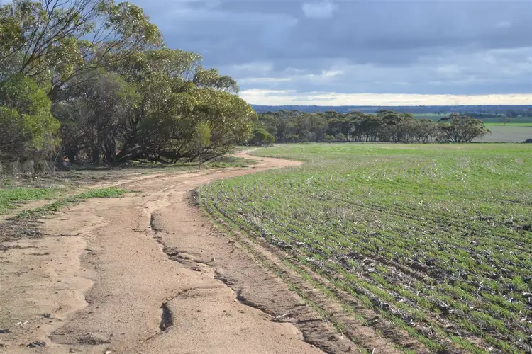 Fourth view of Homely rural property listing, . 'The Tower Block', Tammin WA 6409