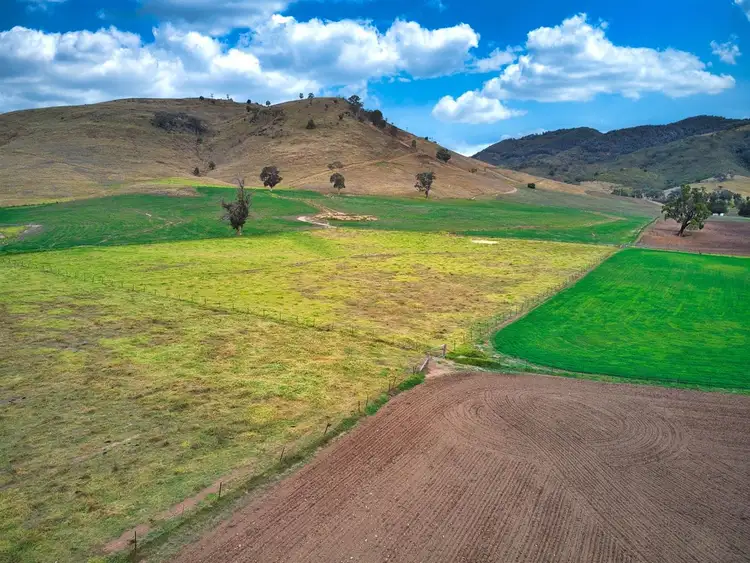 Seventh view of Homely rural property listing, 'Colins' Queens Pinch Road, Mudgee NSW 2850