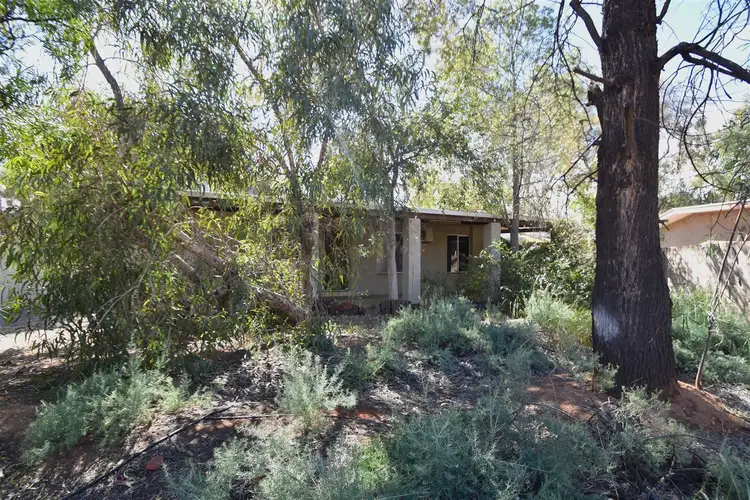 58 Van Senden Avenue, Araluen NT 870