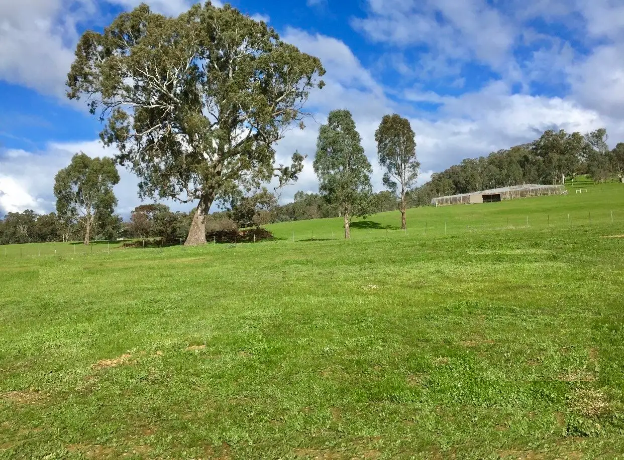 Main view of Homely land listing, 24 Yea Springs Drive, Yea VIC 3717