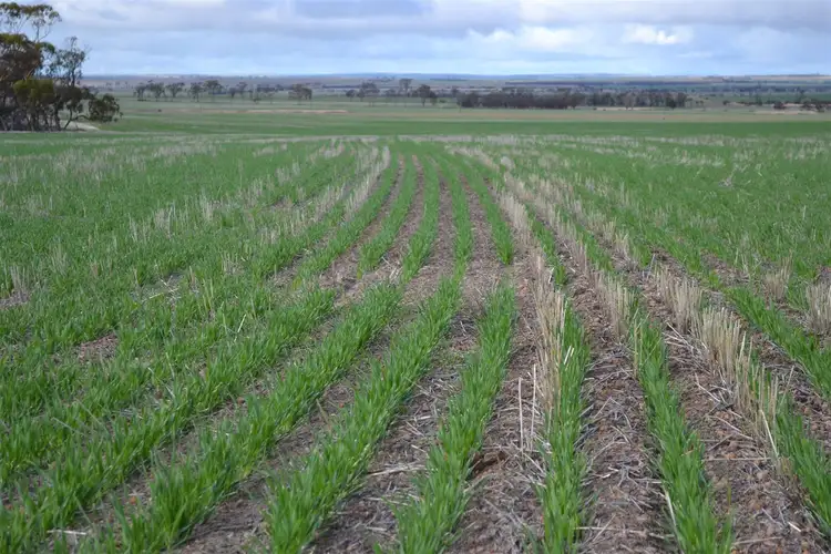 . 'Edenhope', Tammin WA 6409
