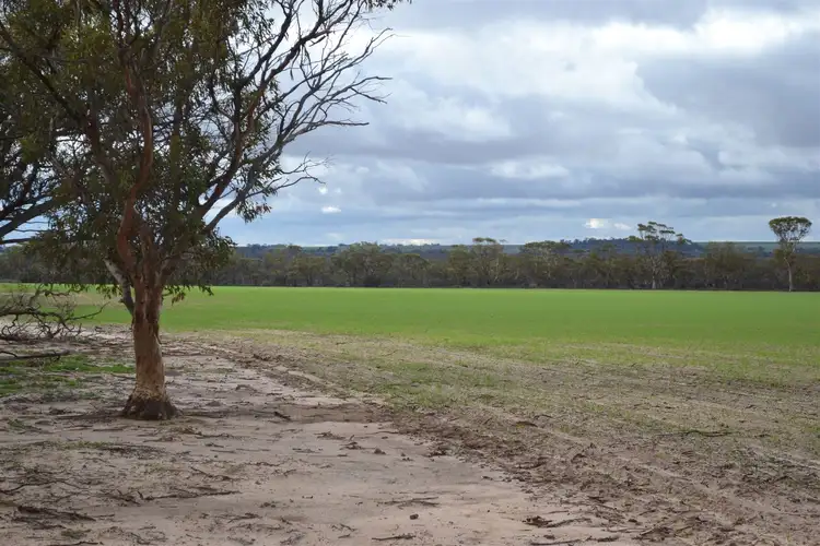 Third view of Homely rural property listing, . 'Edenhope', Tammin WA 6409