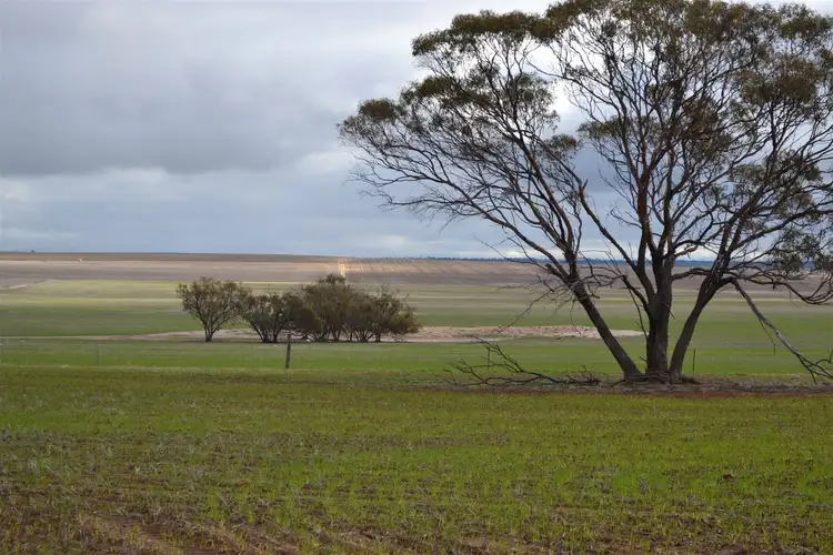 Fourth view of Homely rural property listing, . 'Edenhope', Tammin WA 6409