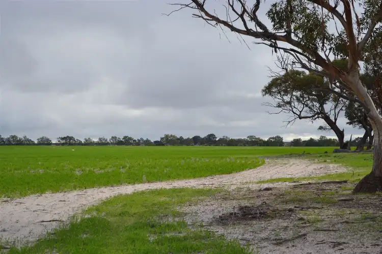 Sixth view of Homely rural property listing, . 'Edenhope', Tammin WA 6409