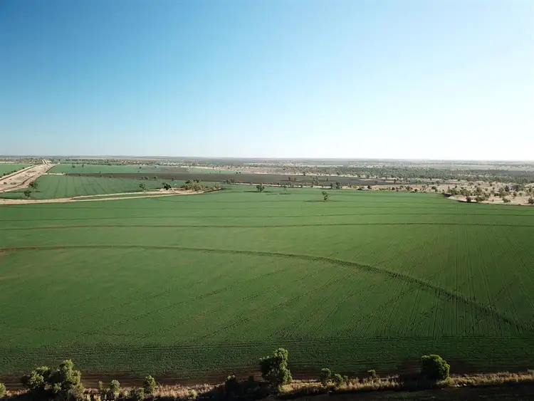 Fourth view of Homely rural property listing, 8686 Gregory Highway, Emerald QLD 4720