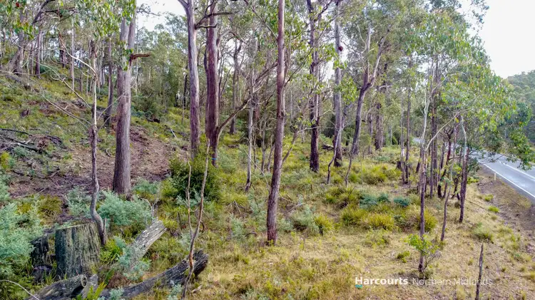Sixth view of Homely land listing, Lot 1 2346 Lake Leake Road, Lake Leake TAS 7210