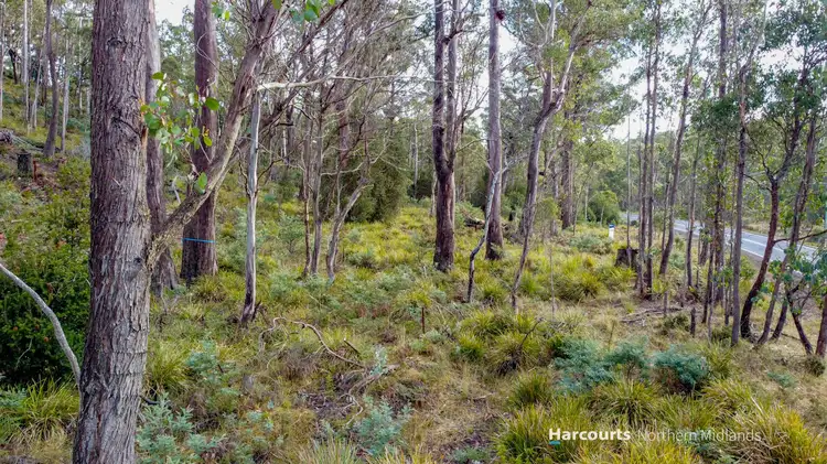 Seventh view of Homely land listing, Lot 1 2346 Lake Leake Road, Lake Leake TAS 7210