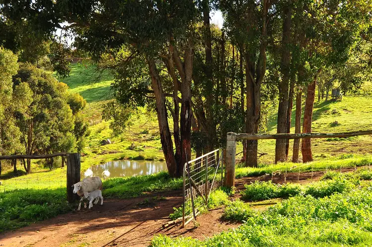 Fifth view of Homely rural property listing, 10 Mottram Street, Kangaroo Gully WA 6255