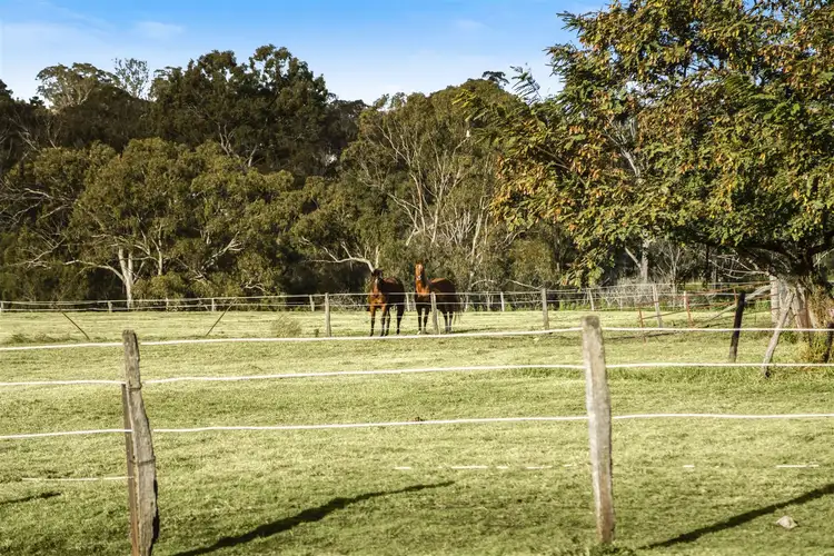 Second view of Homely rural property listing, 170-184 Boundary Street, Cranley QLD 4350