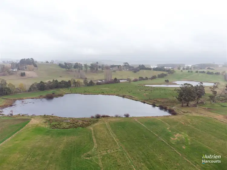 Third view of Homely rural property listing, 5329 Bass Highway, Deloraine TAS 7304