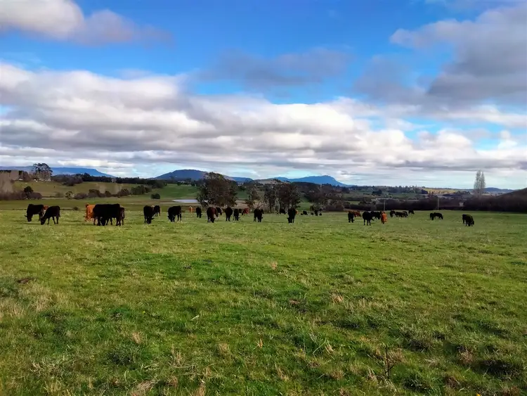 Fourth view of Homely rural property listing, 5329 Bass Highway, Deloraine TAS 7304