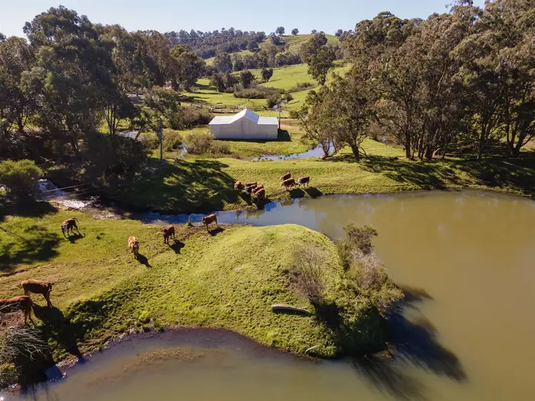 Sixth view of Homely rural property listing, 12 Lyons Road, Brookhampton WA 6239