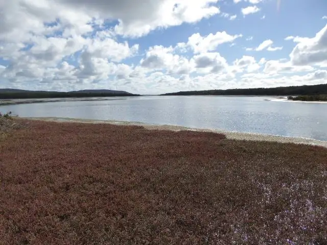 Fourth view of Homely rural property listing, Lot 3 North East River Road, Palana TAS 7255