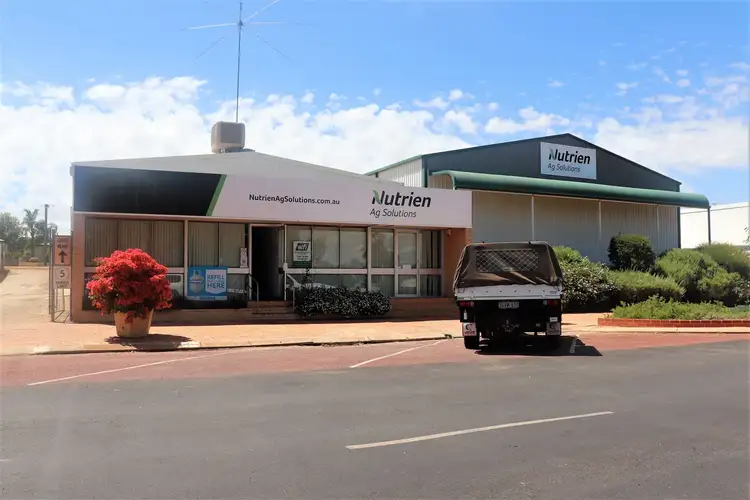 49 Fenton Place, Wongan Hills WA 6603