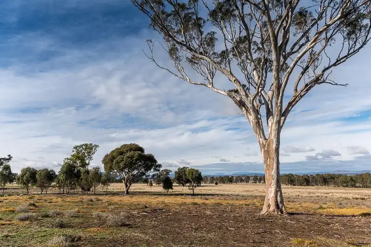 Main view of Homely rural property listing, 19 Bowcher Road, Chesney Vale VIC 3725