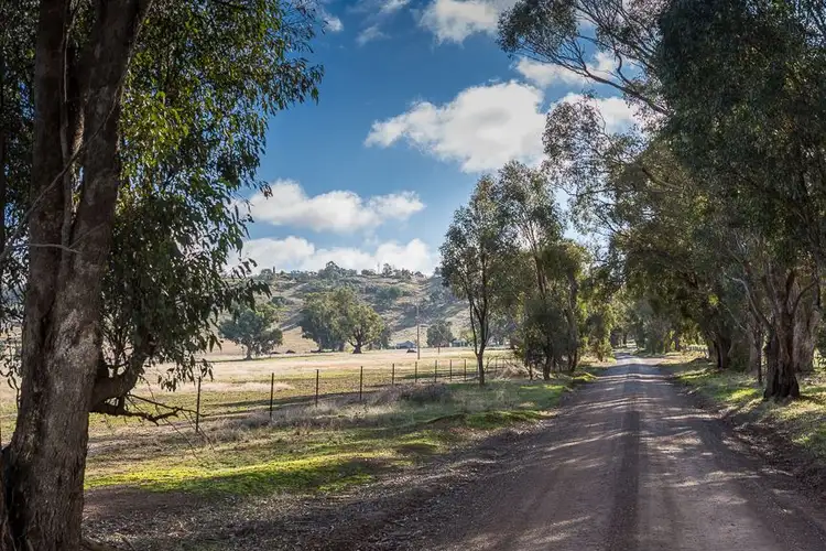 Third view of Homely rural property listing, 19 Bowcher Road, Chesney Vale VIC 3725