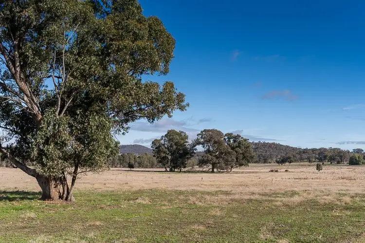 Sixth view of Homely rural property listing, 999 Lake Mokoan Road, Chesney Vale VIC 3725