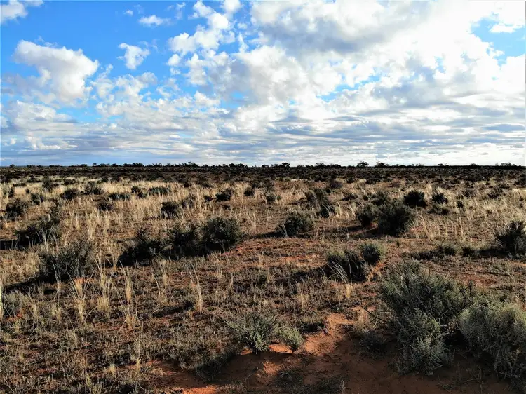 Main view of Homely rural property listing, . Old Mail Road, Wargan VIC 3505