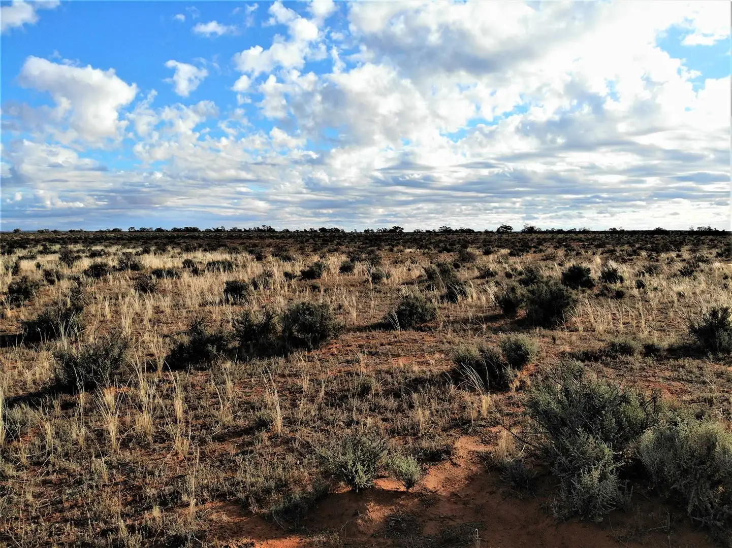 Main view of Homely rural property listing, . Old Mail Road, Wargan VIC 3505