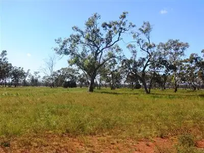 Seventh view of Homely rural property listing, * Denroy, Cobar NSW 2835