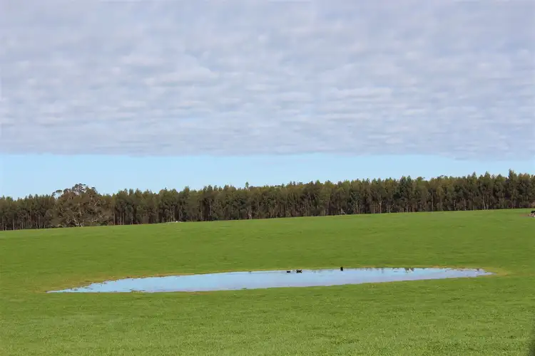 Third view of Homely rural property listing, 451 Yungup North Road, Napier WA 6330