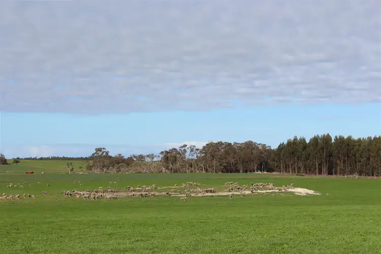 Fifth view of Homely rural property listing, 451 Yungup North Road, Napier WA 6330