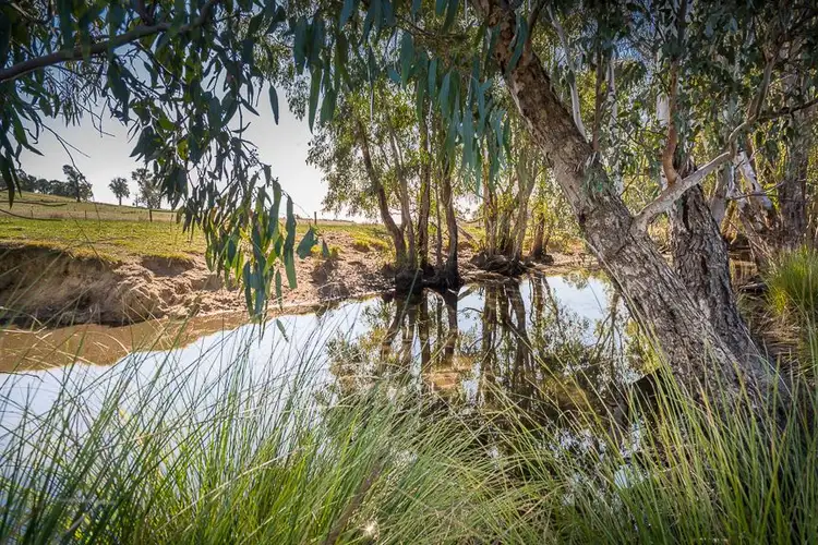 Second view of Homely rural property listing, Lot 3 Whites Rd, Warrenbayne VIC 3670