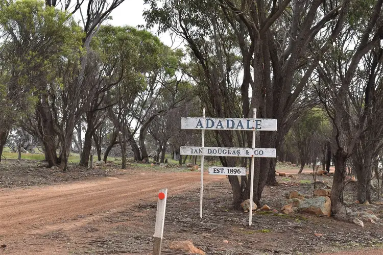 Address available on request