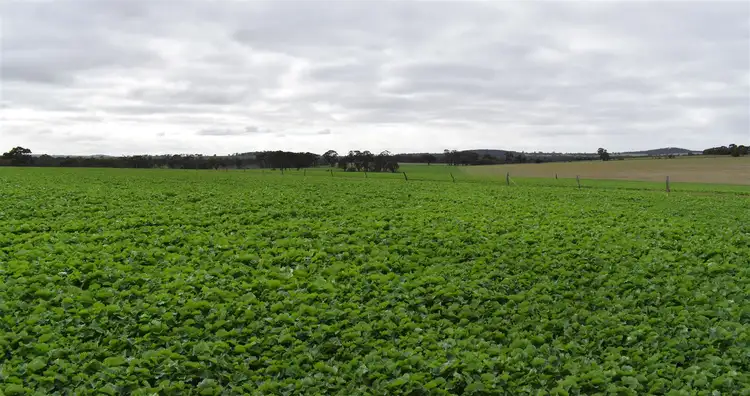 Third view of Homely rural property listing, Address available on request